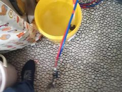 -深圳诚信专业防水补漏公司