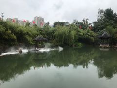 -水绘园