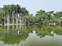 -中国科学院西双版纳热带植物园