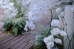 -琥珀婚礼策划AMBER WEDDING