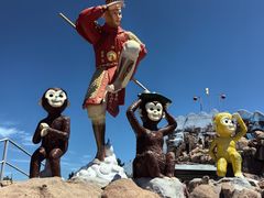 -西霞口神雕山野生动物世界