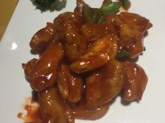 -素虎小呆鸟(西二旗店)