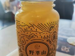 -野萃山·潮汕厚果汁(十亩地店)