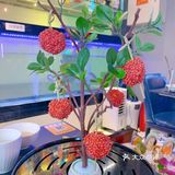 河豚打边炉——品尝《山海经》里的现实版奇兽