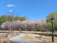 -吉林大学(前卫南区)