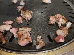 -杨小佳·齐齐哈尔烤肉·烤串(广州店)