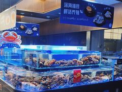 -同庆楼(天鹅酒家店)