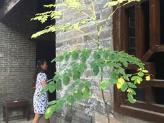 -扬美古镇景区