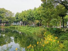 -金银湖国家城市湿地公园