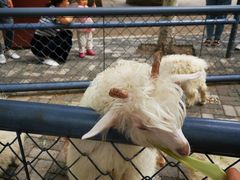 -长白岛森林公园