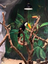 -Zoolung Zoolung动物主题公园(海信广场店)