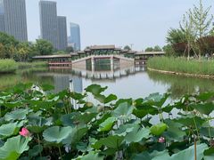 -西海子公园
