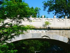 -白水寺森林公园