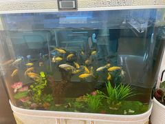 -云镜眼镜加工中心(南环路店)