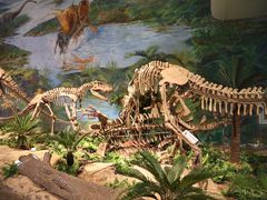 -自贡恐龙博物馆