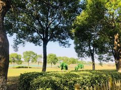 -上海都市菜园