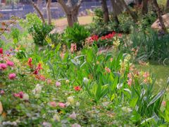 -人民公园(罗湖区)