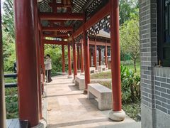 -顺峰山公园