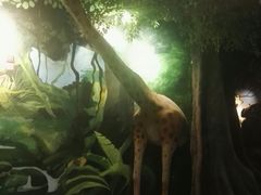 -绍兴梦享海洋公园