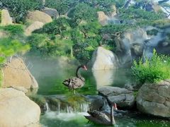 -罗红摄影艺术馆