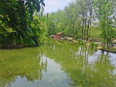 -溱湖国家湿地公园