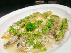 -黄鱼馆Jhouse(外滩店)