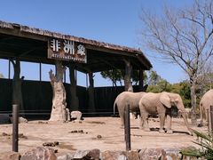-上海野生动物园