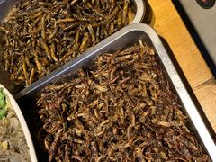 -白洋淀锅里口灶台鱼