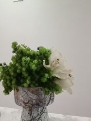 -广州紫馨整形外科医院