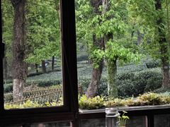 -野蔓果·山野菜(西湖景区·龙井茶田店)