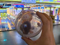 -风云再起游乐汇(北京西单西西友谊店)