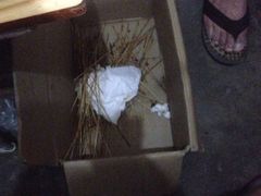 -阿姨小肉摊(同济西苑店)