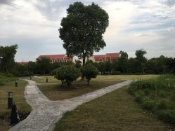 -上海美兰湖妇产科医院