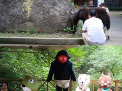 -宁波五龙潭景区