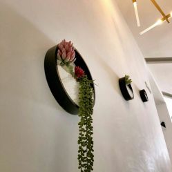 -臣丽纹眉品牌连锁