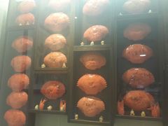 -龙海鲜螃蟹王(宏茂桥店)