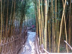 -竹子庵公园