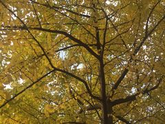 -何太吉·煎饼果子(海防路店)