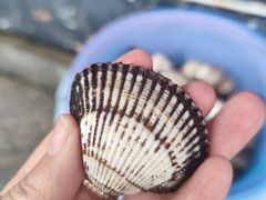 -金海湾海鲜排档(朱家尖店)