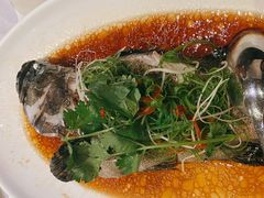 笋壳鱼（清蒸/油浸）条-文兴酒家(晶品店)