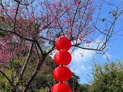 -广州市帽峰山景区