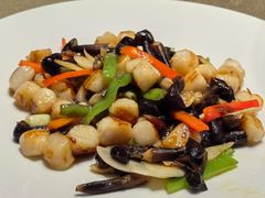 鸡枞菌鲜贝-天福苑(崇宁路店)