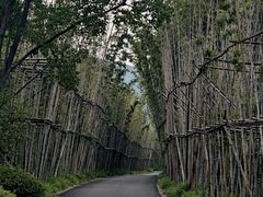 -雅达·阳羡溪山小镇中心