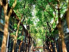 android_upload_pic-凡德艺术街区