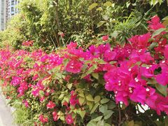 -人民公园(罗湖区)