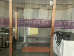 -宠爱国际动物医院· 猫科· 外科·中兽医(长白店)