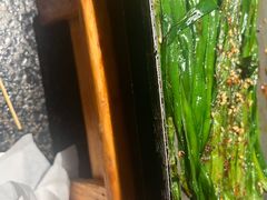 -战友蚝情烧烤工场(嘉华店)