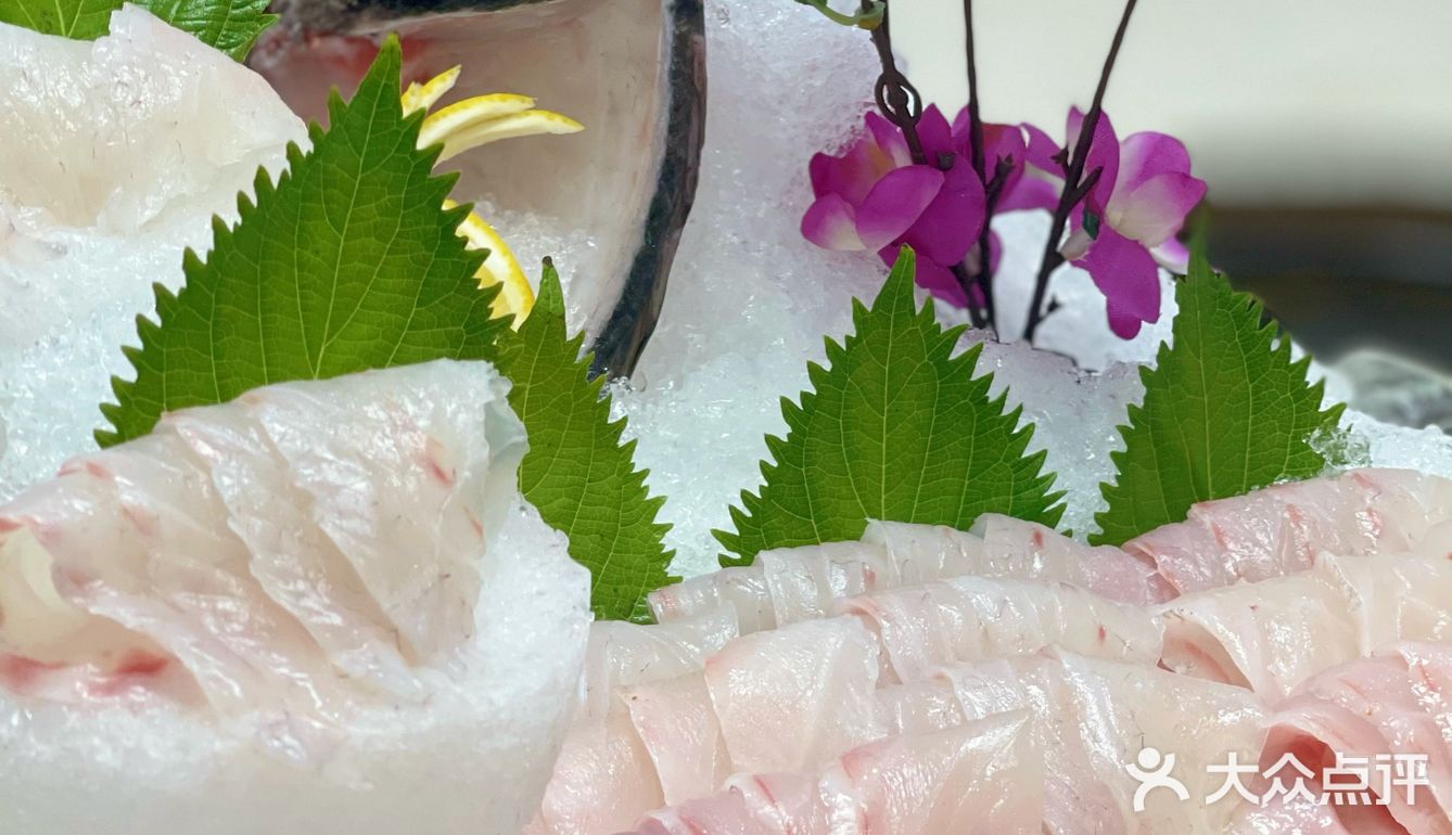 🐟无鱼生不夏天#