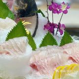 🐟无鱼生不夏天#