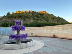 -紫海香堤香草艺术庄园